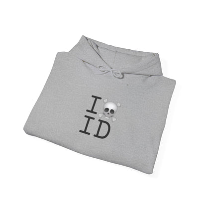 "I'm a Pirate in Idaho" Hoodie