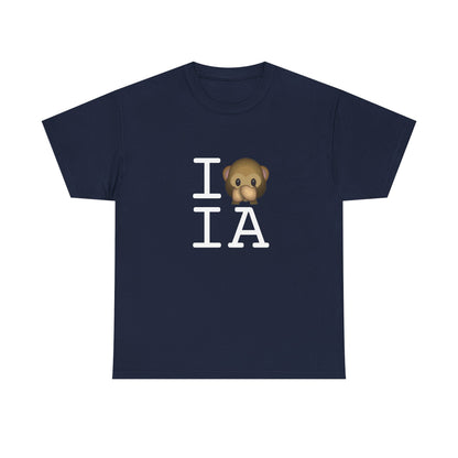 "I Don't Speak about Iowa" Tee