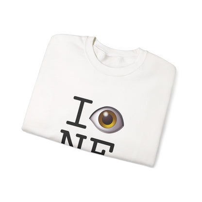 "I See (Eye) Nebraska" Sweatshirt