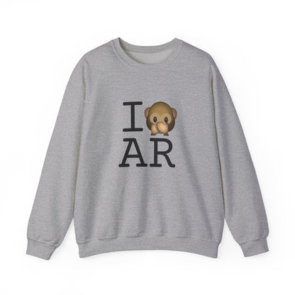 "I Don't Speak about Arkansas" Sweatshirt