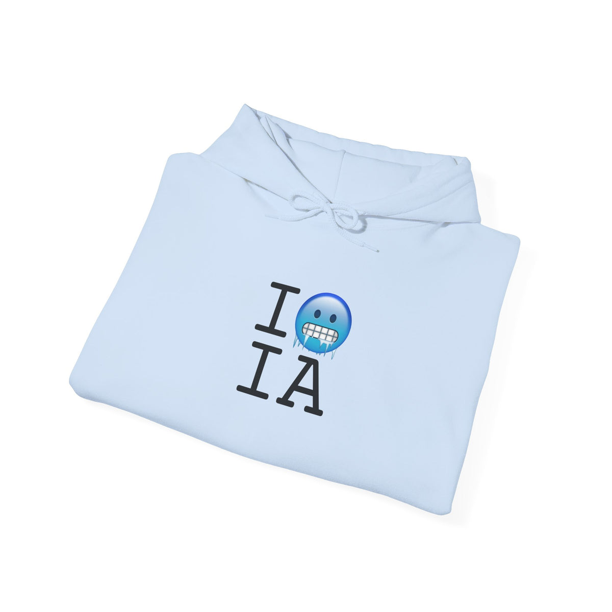 "I'm Cold in Iowa" Hoodie