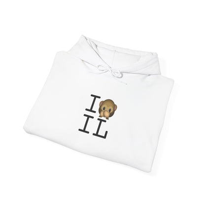 "I Don't Speak about Illinois" Hoodie