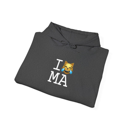 "I'm Laughing like a Cat at Massachusetts" Hoodie