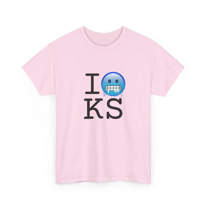 "I'm Cold in Kansas" Tee