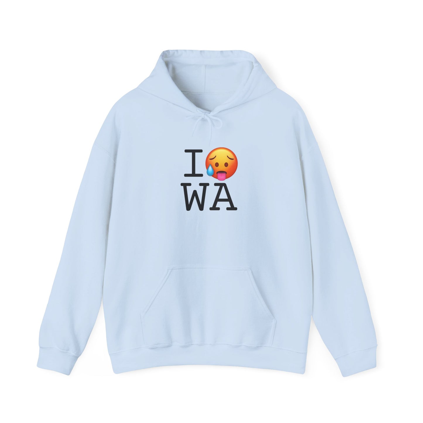 "I'm Hot in Washington" Hoodie