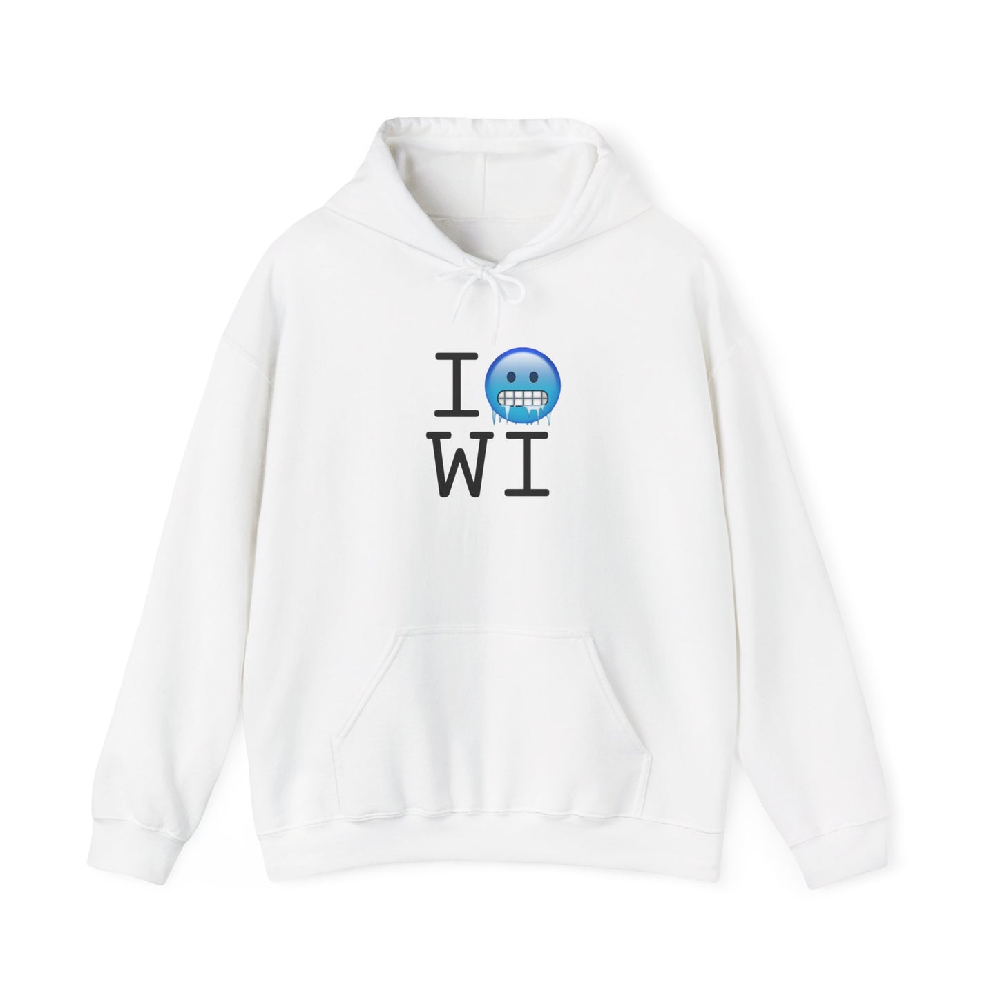 "I'm Cold in Wisconsin" Hoodie
