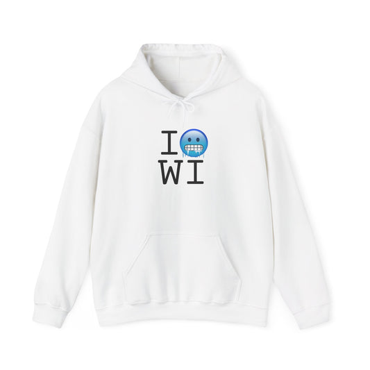 "I'm Cold in Wisconsin" Hoodie