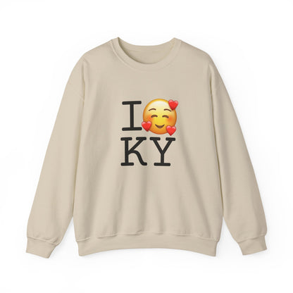 "I Adore Kentucky" Sweatshirt