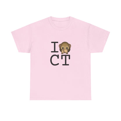 "I Don't Speak about Connecticut" Tee
