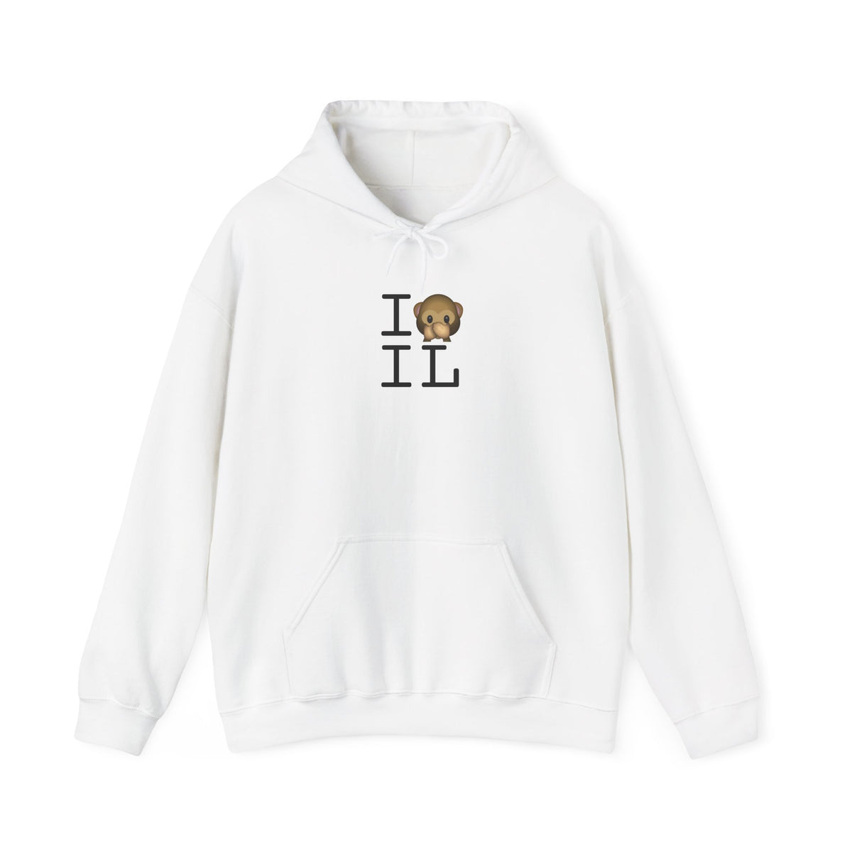 "I Don't Speak about Illinois" Hoodie