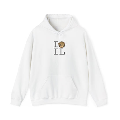 "I Don't Speak about Illinois" Hoodie