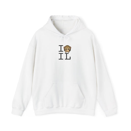 "I Don't Speak about Illinois" Hoodie