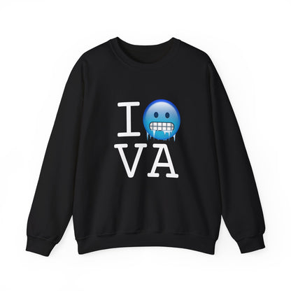 "I'm Cold in Virginia" Sweatshirt