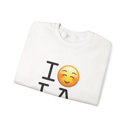 "I Blush at Louisiana" Sweatshirt
