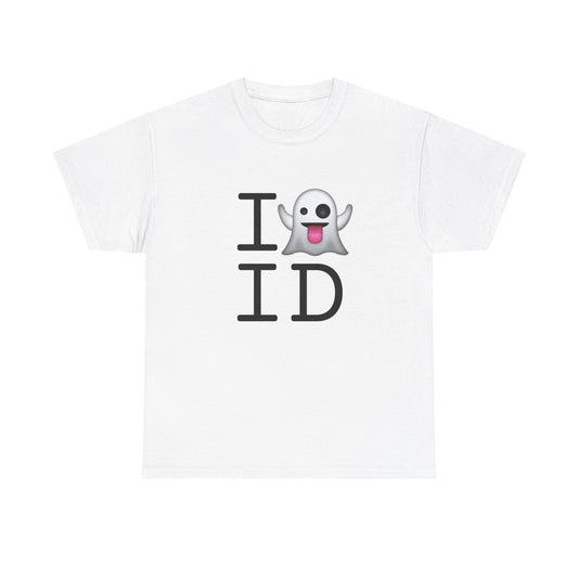 "I'm Ghosting Idaho" Tee