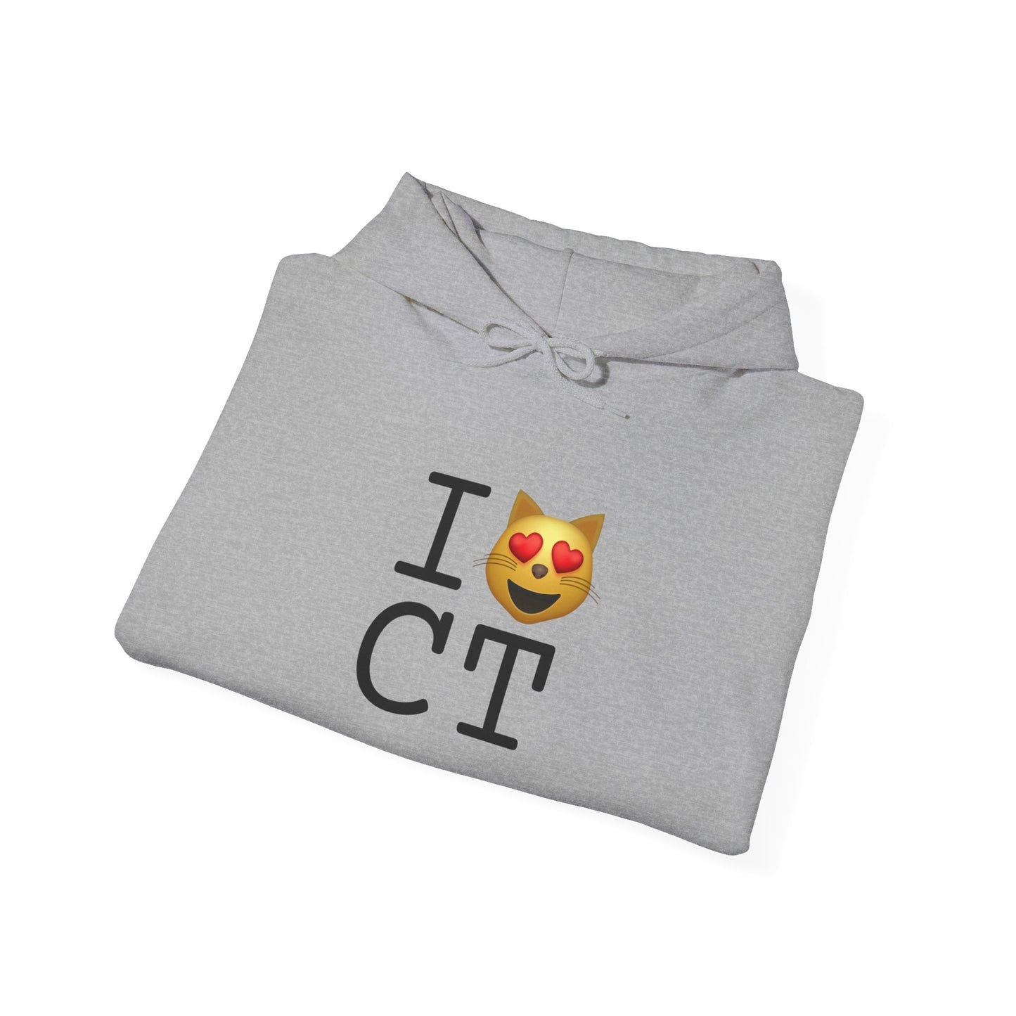 "I'm a Cat that Loves Connecticut" Hoodie