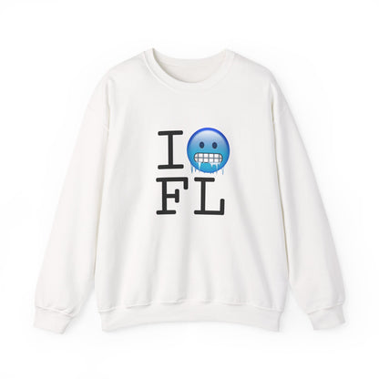 "I'm Cold in Florida" Sweatshirt