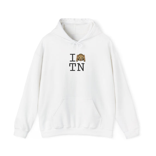 "I Don't Hear Tennessee" Hoodie
