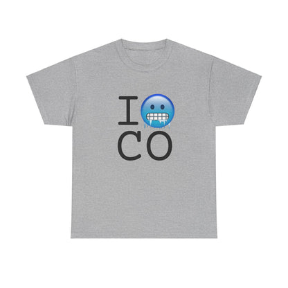 "I'm Cold in Colorado" Tee