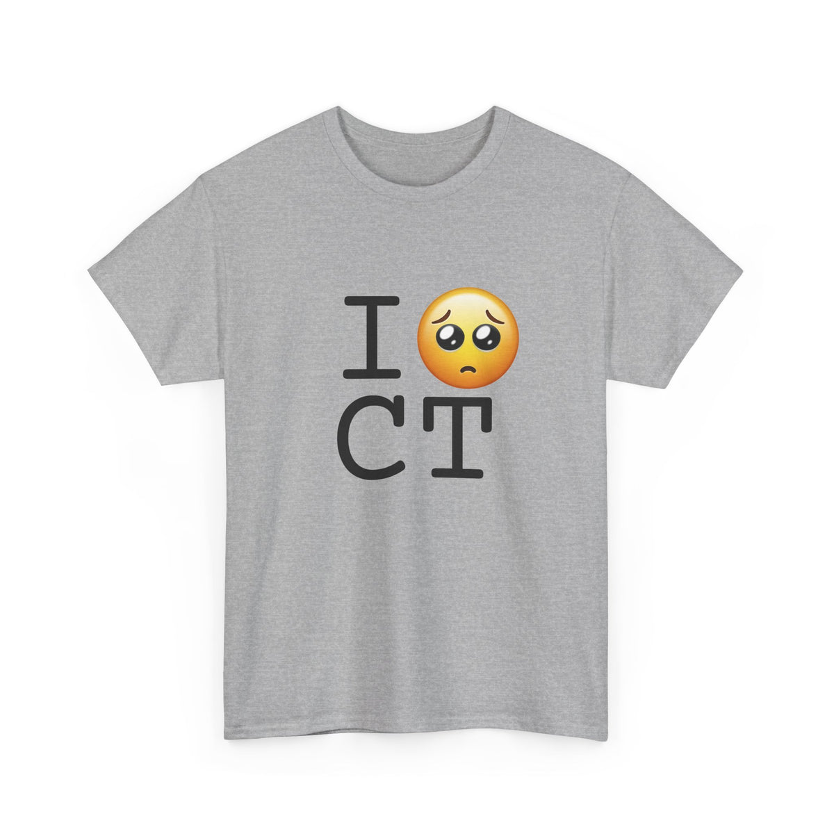 "I'm Begging about Connecticut" Tee