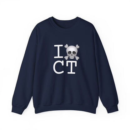 "I'm a Pirate in Connecticut" Sweatshirt