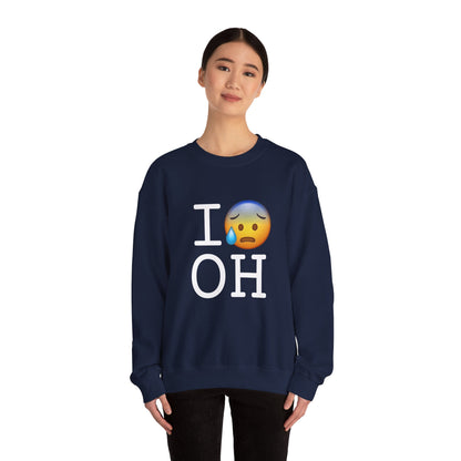 "I'm Anxiously Sweating in Ohio" Sweatshirt