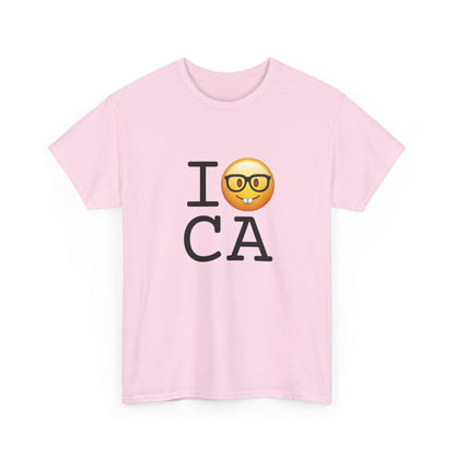 "I'm a Nerd about California" Tee