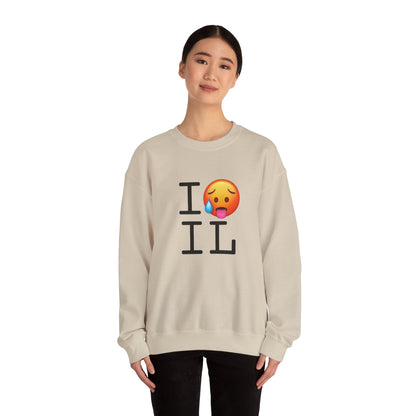 "I'm Hot in Illinois" Sweatshirt