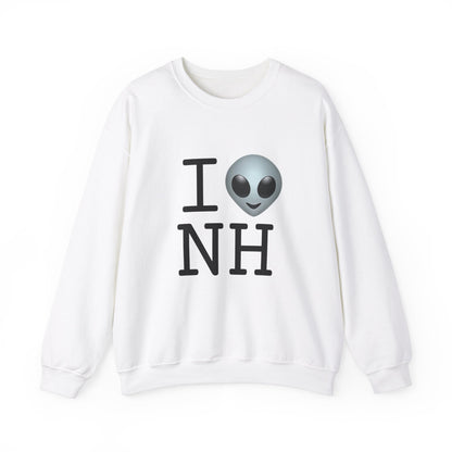 "I Feel Alien in New Hampshire" Sweatshirt