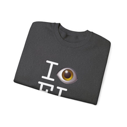 "I See (Eye) Florida" Sweatshirt