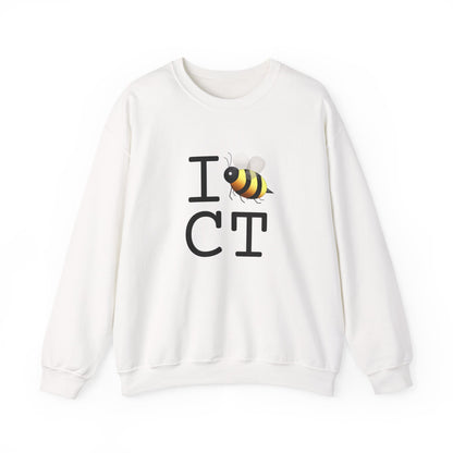 "I Bee in Connecticut" Sweatshirt