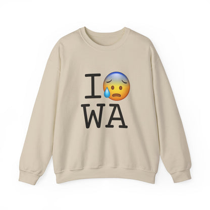 "I'm Anxiously Sweating in Washington" Sweatshirt