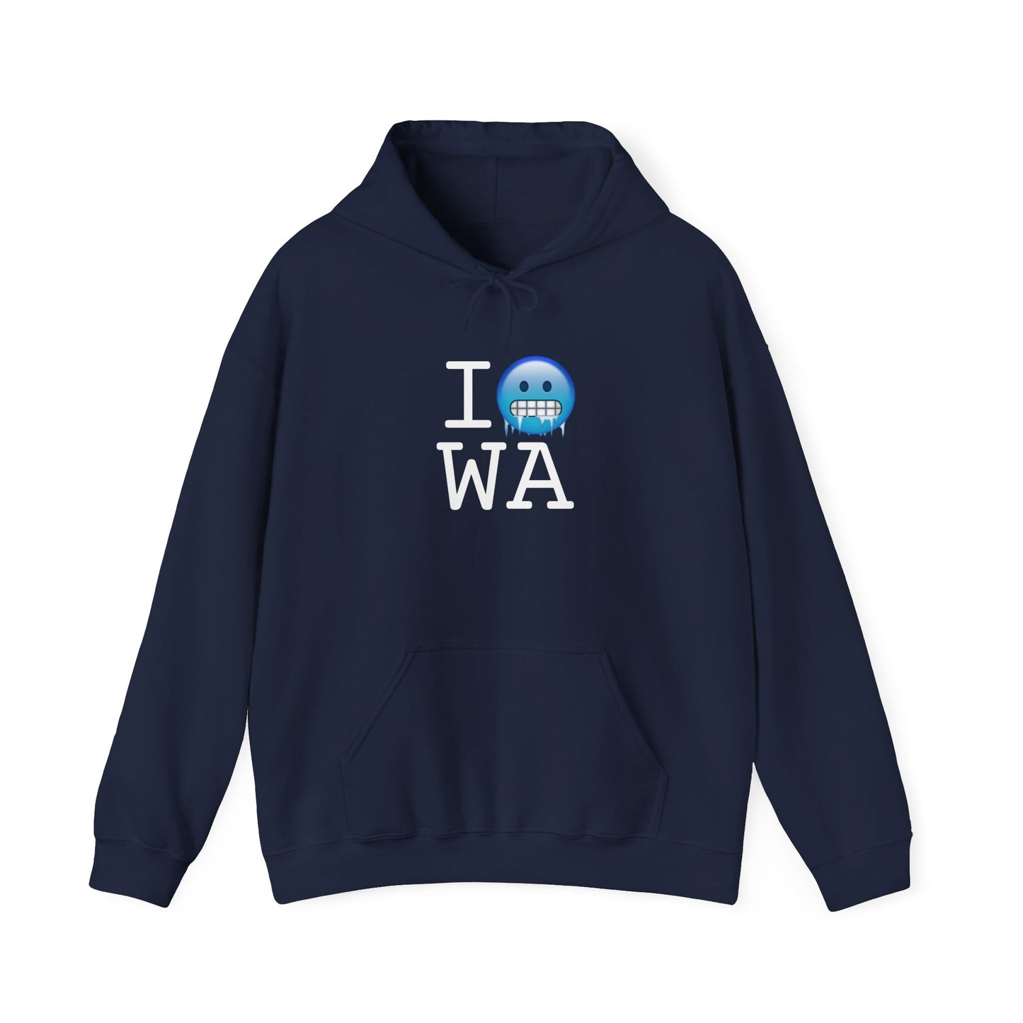 "I'm Cold in Washington" Hoodie