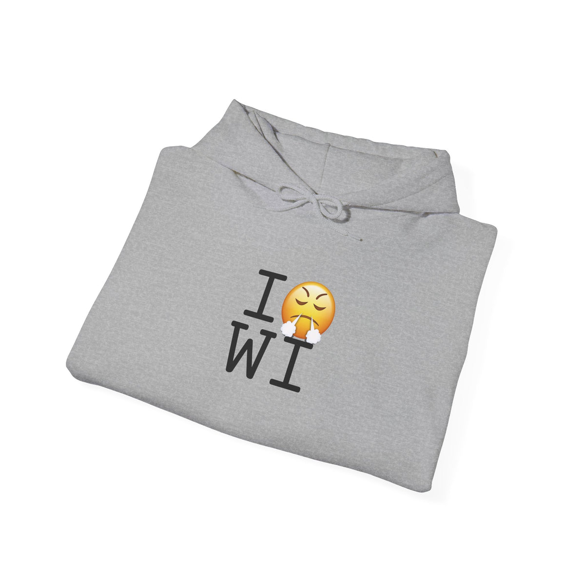 "I'm Furious about Wisconsin" Hoodie