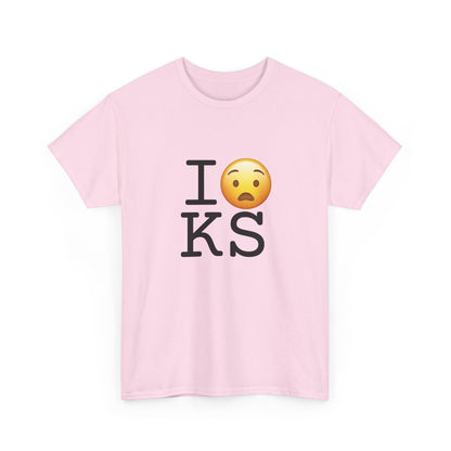 "I'm Anguished about Kansas" Tee