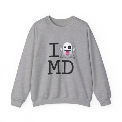 "I'm Ghosting Maryland" Sweatshirt