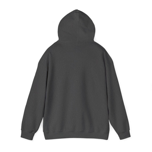 "I Graduate Florida" Hoodie