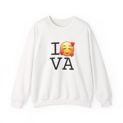 "I Adore Virginia" Sweatshirt