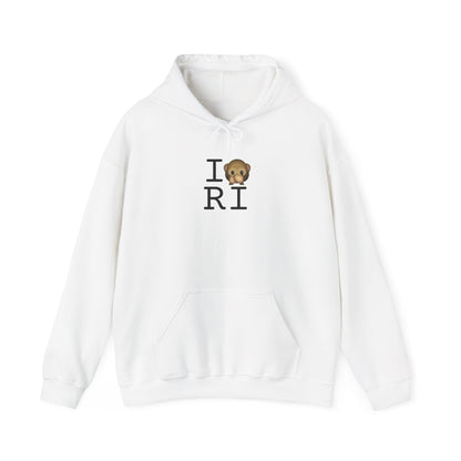 "I Don't Speak about Rhode Island" Hoodie