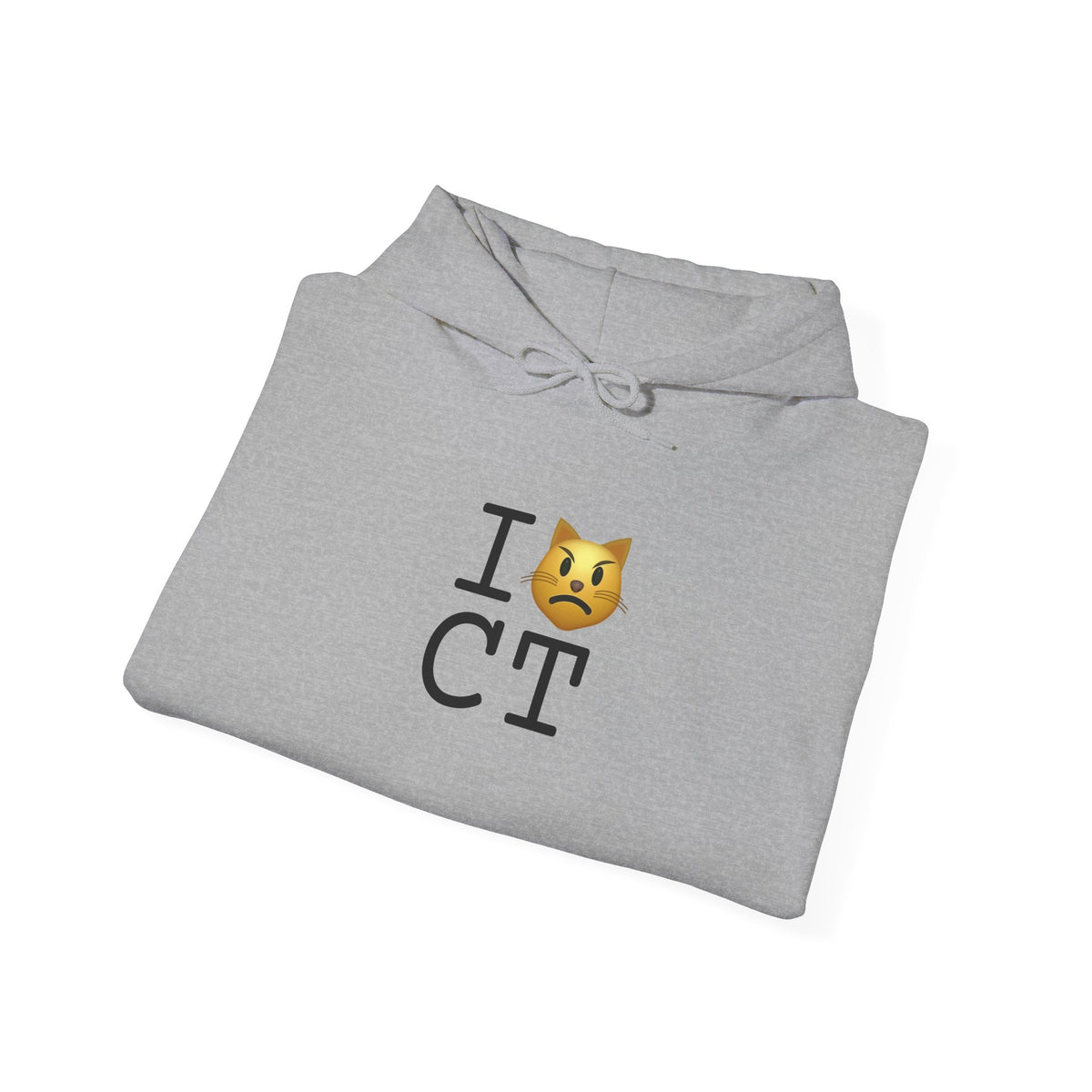 "I'm a Pouting Cat about Connecticut" Hoodie