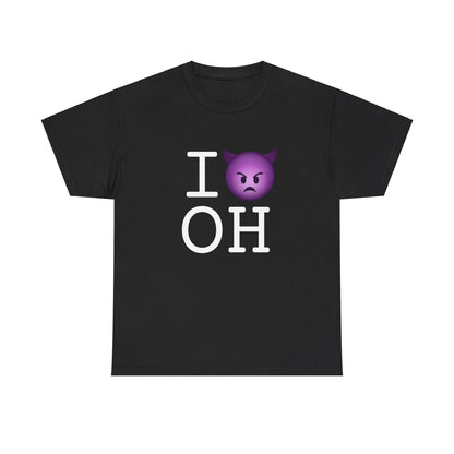 "I'm an Angry Devil about Ohio" Tee