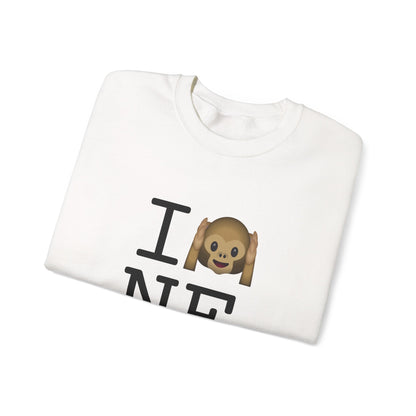 "I Don't Hear Nebraska" Sweatshirt