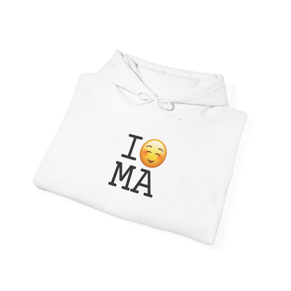 "I Blush at Massachusetts" Hoodie