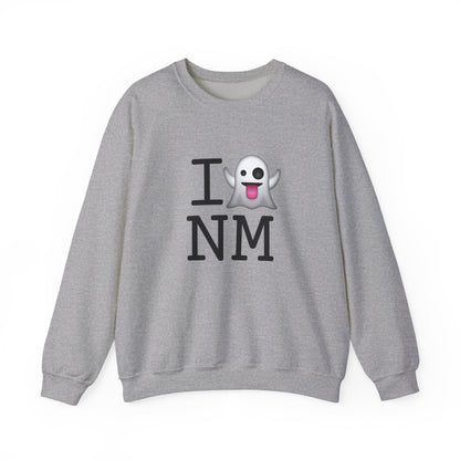 "I'm Ghosting New Mexico" Sweatshirt