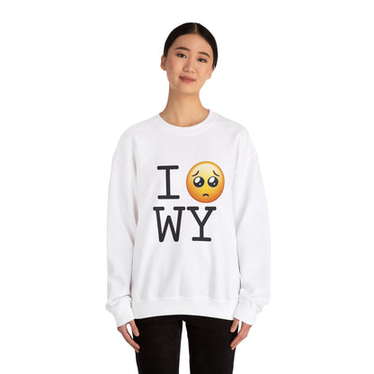 "I'm Begging about Wyoming" Sweatshirt