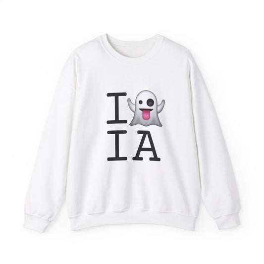 "I'm Ghosting Iowa" Sweatshirt