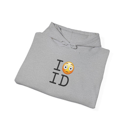 "I'm Embarrassed by Idaho" Hoodie