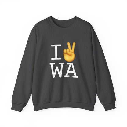 "I Show Peace to Washington" Sweatshirt