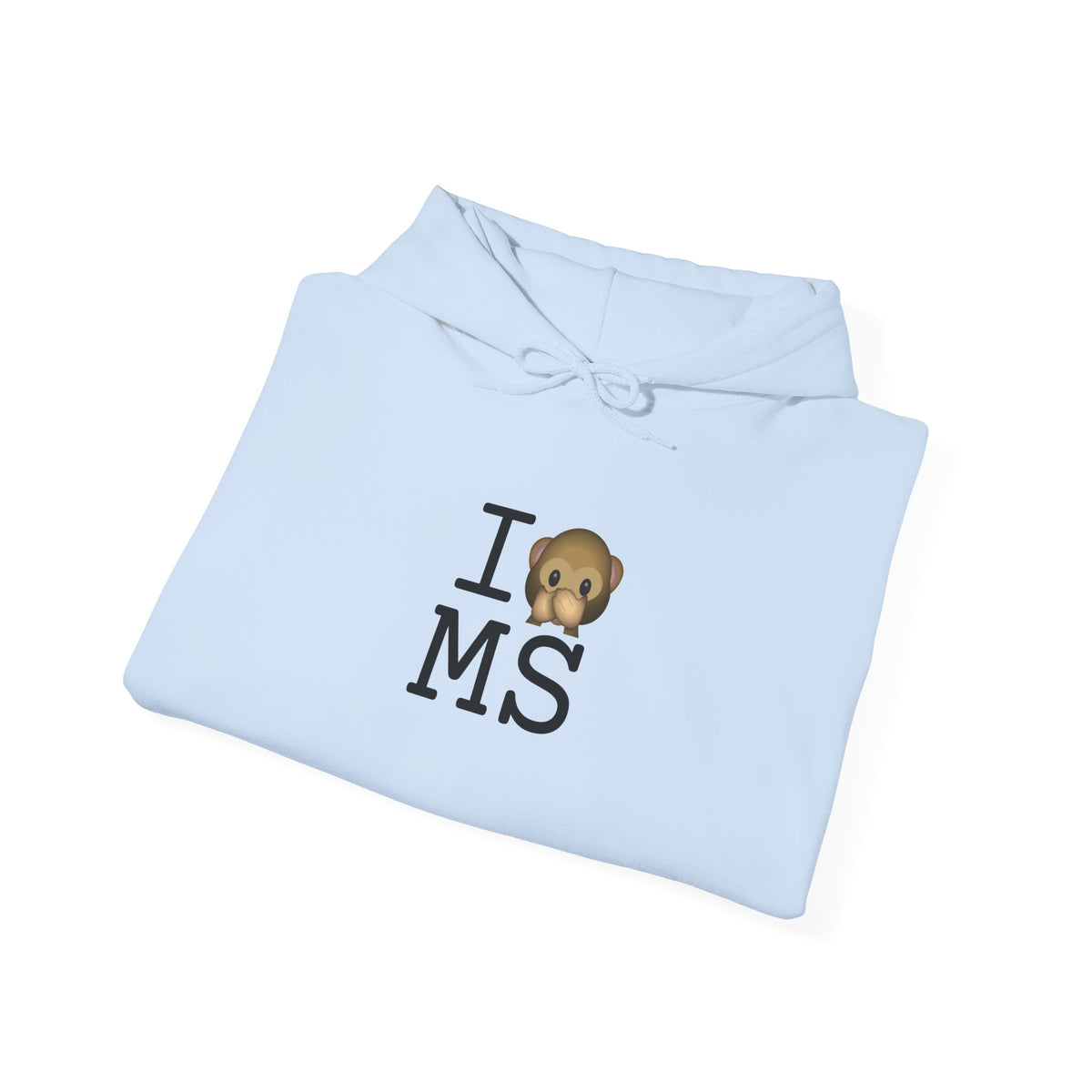 "I Don't Speak about Mississippi" Hoodie
