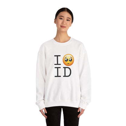 "I'm Begging about Idaho" Sweatshirt